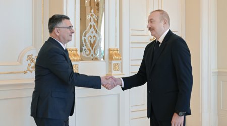 Prezident İsrail XİN rəhbərini qəbul edib - Fotolar