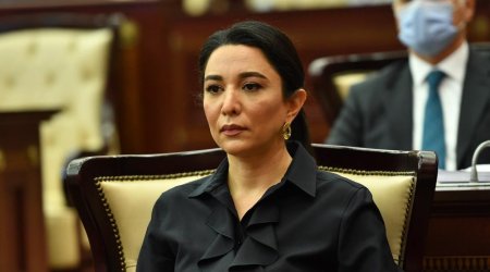 Ombudsman: yeni qanun layihəsi beynəlxalq prinsipləri daha aydın əks etdirir