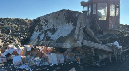 İrandan gətirilən qənnadı məhsulunda kif aşkarlanıb