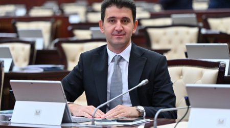 Süni intellekt oyuncaqlarında Azərbaycan dilinin aktivləşdirilməsi vacibdir - Deputat