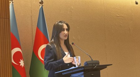 Sənədsiz tikililərin sayı açıqlanıb