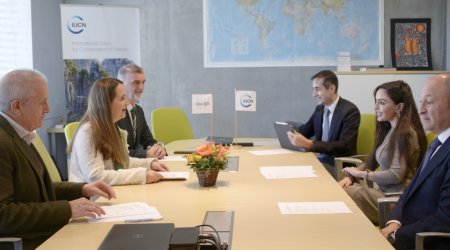 Leyla Əliyeva İsveçrədə Qretel Agilar ilə görüşüb