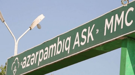 &ldquo;Azərpambıq&rdquo;ın ixrac gəliri 2025-ci ildə 31% azalıb