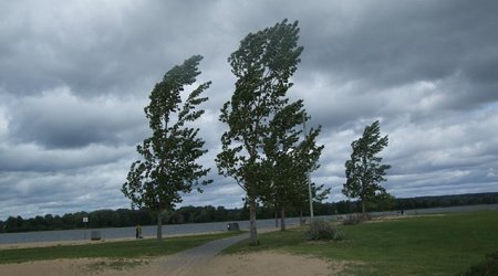 Küləklə bağlı sarı xəbərdarlıq edilib