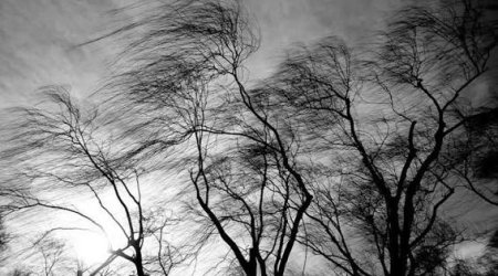 Bəzi rayonlarda güclü külək əsir - FAKTİKİ HAVA