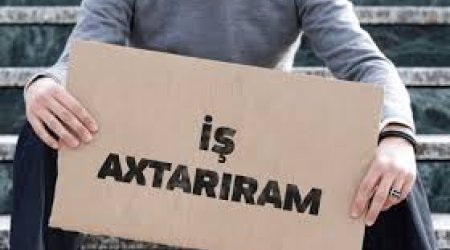 Deputat bu qədər işsizin dövlət üçün risk yarada biləcəyini açıqlayıb/Video