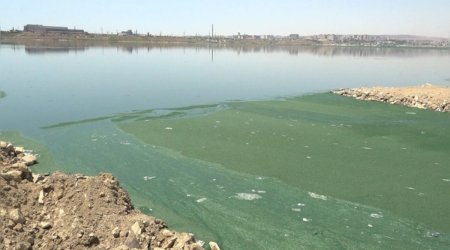 
Böyükşor gölünə tullantı suları axıdanlar barəsində inzibati protokol tərtib edilib