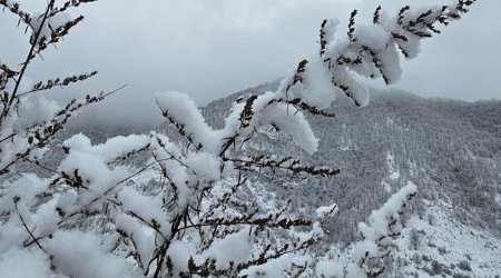 Bu gecə Bakıya qar yağacaq, yollar buz bağlayacaq