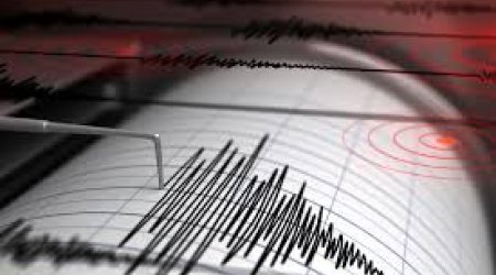 Землетрясение магнитудой 5,5 произошло у побережья Камчатки