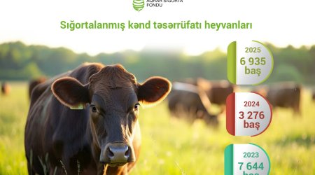 Insured livestock in Azerbaijan more than doubles in 2025