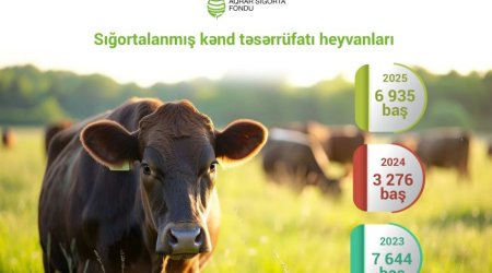 Число застрахованных сельскохозяйственных животных выросло более чем в два раза