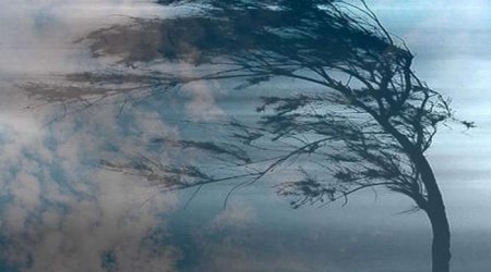 Sabahın hava proqnozu