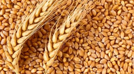 Russian Railways says grain shipments to Armenia via Azerbaijan become regular