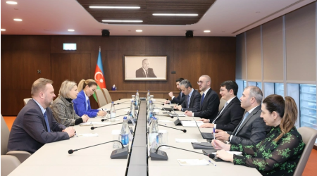 Azerbaijan and Microsoft Discuss Launch of Joint Digital Capability Center
