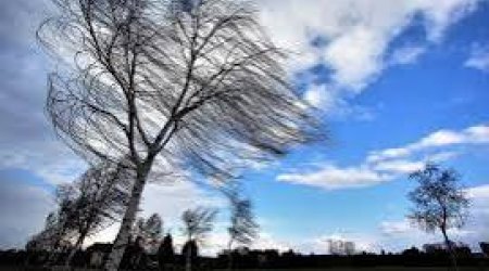 Синоптики предупредили об усилении ветра в Баку и регионах