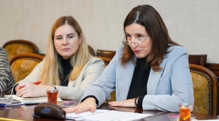 Посол Евросоюза отправилась в Нахчыван