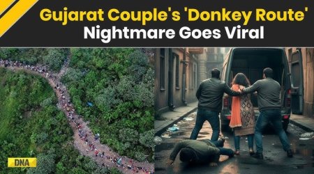 Azərbaycanda iki Hindistan vətəndaşı qaçırılıb və birgə əməliyyat nəticəsində azad ediliblər