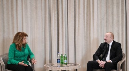 Prezident Münxendə Bolqarıstan Prezidenti ilə görüşüb