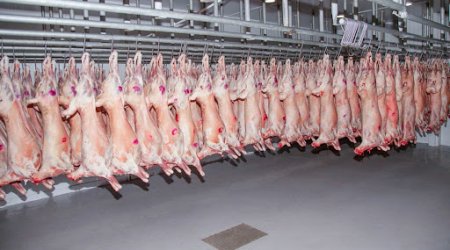 Azerbaijan boosts imports of Mongolian lamb