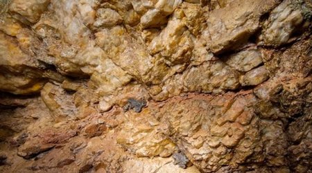 Qeyri-filiz yataqların istismarı ilə bağlı yeni qaydalar hazırlanacaq