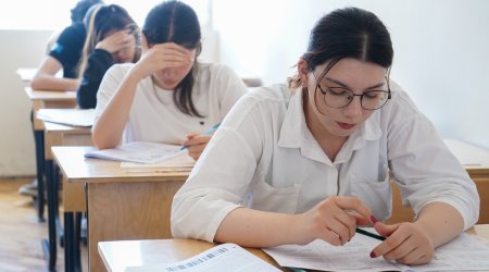 Ali və orta ixtisas təhsilinə sənəd qəbulu başlayıb