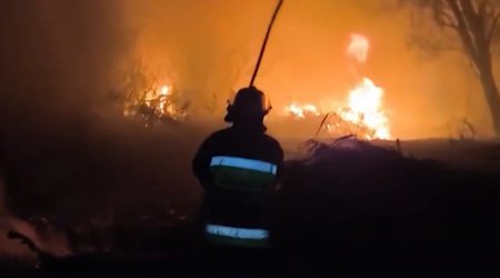 Yevlax-Bərdə avtomobil yolunun kənarında yanğın başlayıb