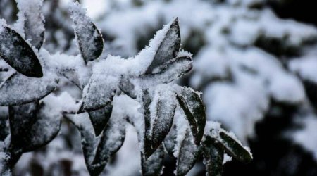 Dağlıq ərazilərdə qar yağacaq - Xəbərdarlıq