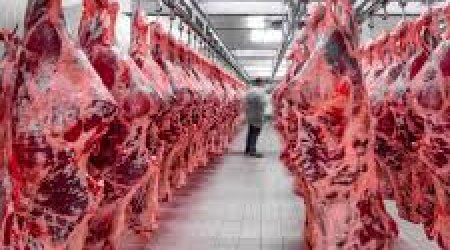 Производство сельхозпродукции в Азербайджане в январе 2026 года увеличилось