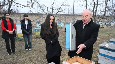 Лейла Алиева побывала в гостях у семьи пчеловода в Губе