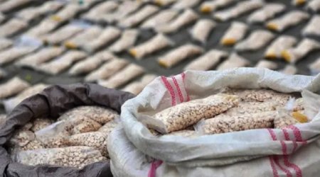 Azerbaijan seizes 11.5 tonnes of narcotics in 2025