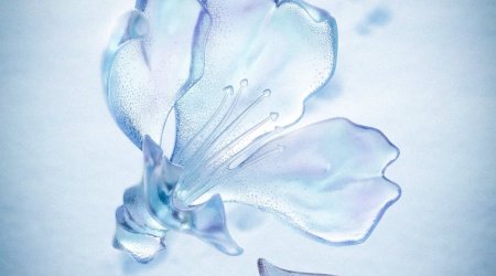 Prezident Xocalı Soyqırımı ilə bağlı paylaşım edib