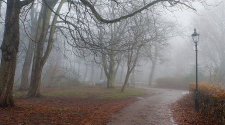 Sabah hava çiskinli olacaq - Proqnoz