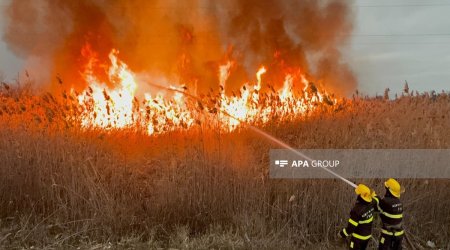 Ucarda açıq ərazidə yanğın olub
