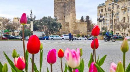 Прогноз погоды на первый день марта