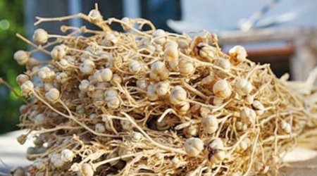 Üzərliklə bağlı daha bir qurumdan xəbərdarlıq