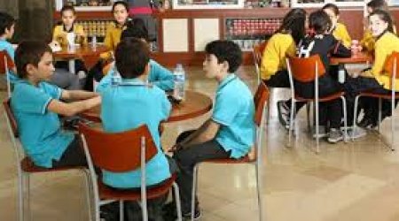 Səbinə Əliyeva: Təhsil müəssisələrində qida təhlükəsizliyinə nəzarət gücləndirilməlidir