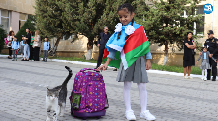 Омбудсман Азербайджана предложила оптимизировать школьные программы из-за перегрузки учеников
