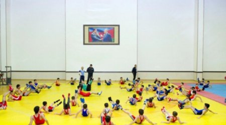 Məktəblərdə idman dərsi demək olar ki, keçirilmir -MOK-un vitse-prezidenti