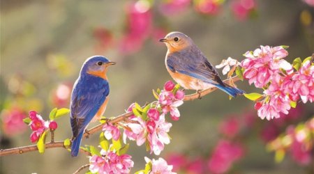 Завтра в Азербайджане ожидается до 17&deg; тепла