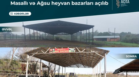 Masallı və Ağsuda heyvan bazarları açılıb