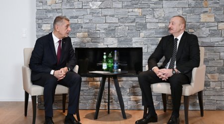 Andrey Babiş Naxçıvana dron hücumu ilə bağlı Prezidentə məktub göndərib