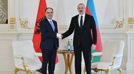 Алиев благодарит Албанию за открытость и решительность