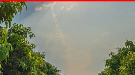 Azərbaycanda qeyri-sabit hava şəraiti aqrar sığorta müraciətlərini artırıb