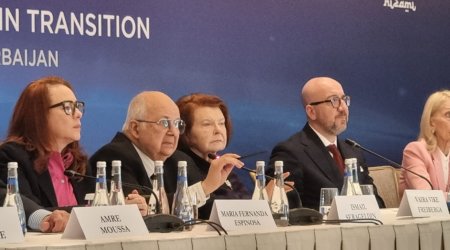 Vayra Vike: Qlobal çağırışlar fonunda dialoq platformaları daha da vacib olur