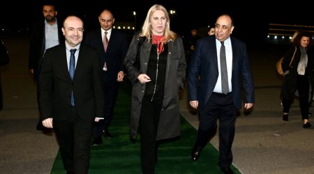 Bosniya və Herseqovina Rəyasət Heyətinin üzvü Azərbaycana gəldi