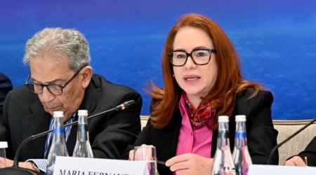 Beynəlxalq sistemə etimadın azalması multilateralizmin əsas böhranıdır - Espinoza