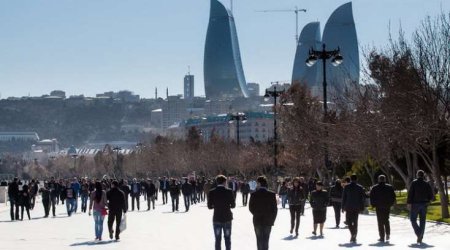 Əli Əhmədov: Əhalinin artım tempinin azalması əmək bazasına təsir edəcək