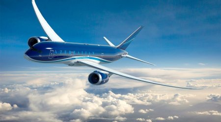 

AZAL увеличил перевозки грузов и багажа более чем на 50%
