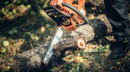 Son 1 həftədə təbiətə 73 mindən çox ziyan vurulub