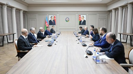 Турецкий министр у Али Асадова